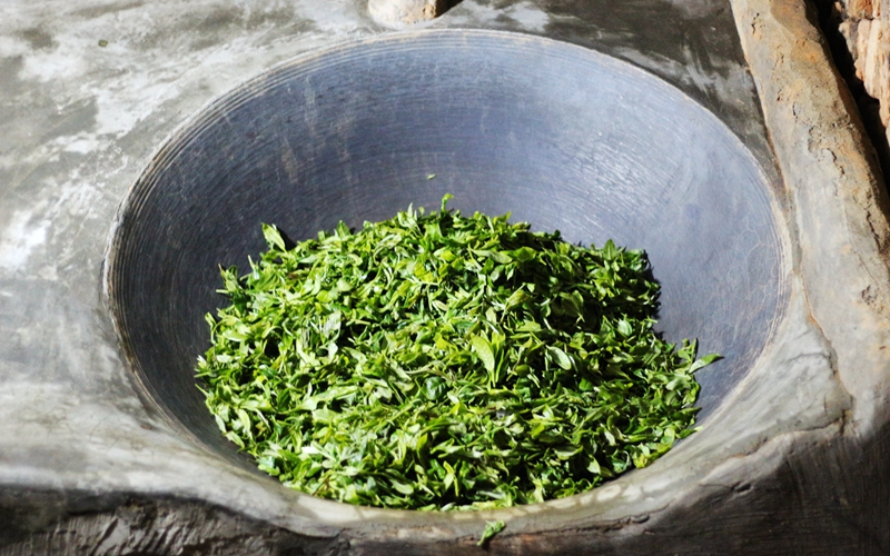 普洱茶工藝之手工鐵鍋殺青(炒茶)